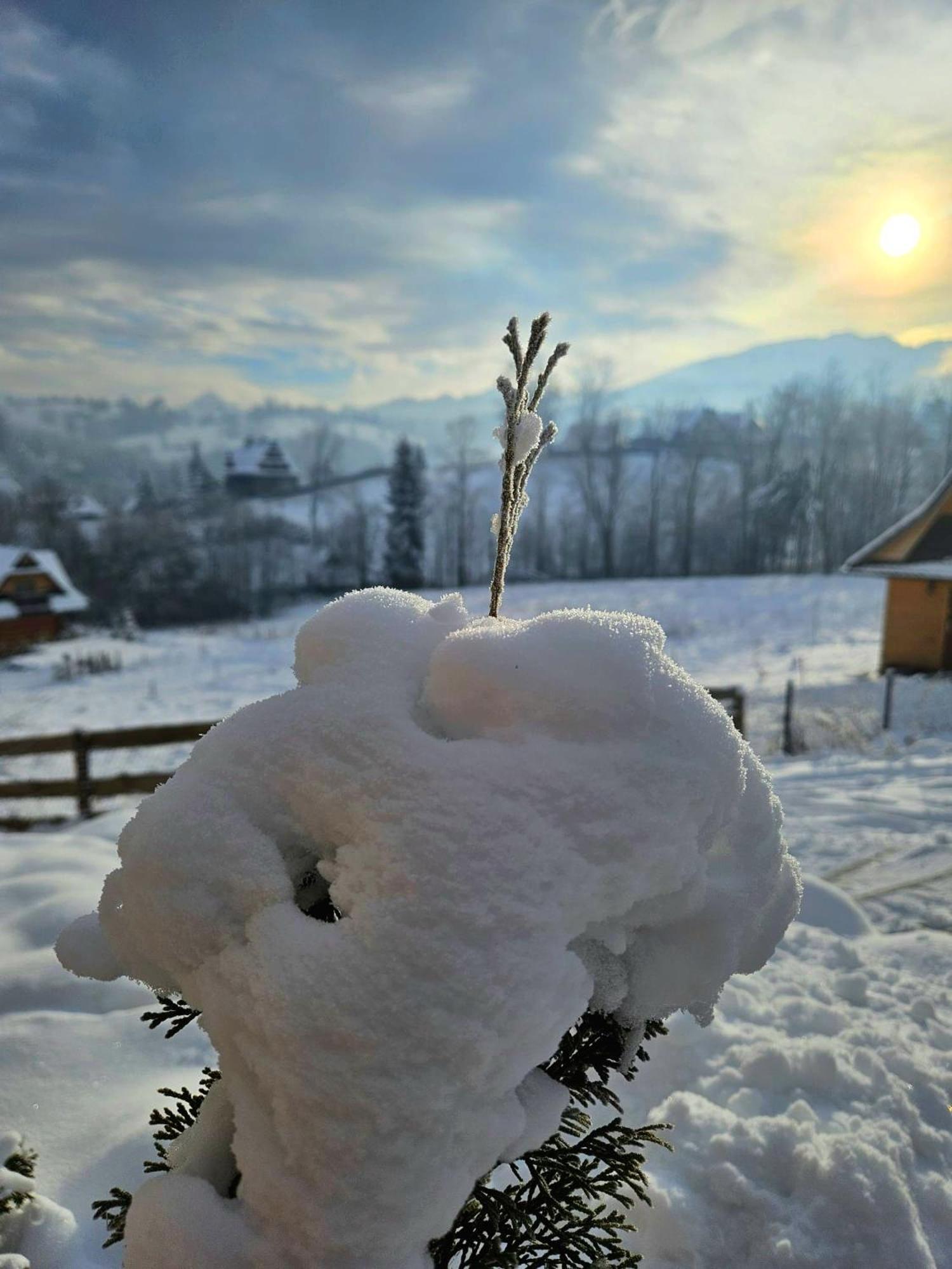 Góralska Chatka z Balią w Zakopanem Exterior foto